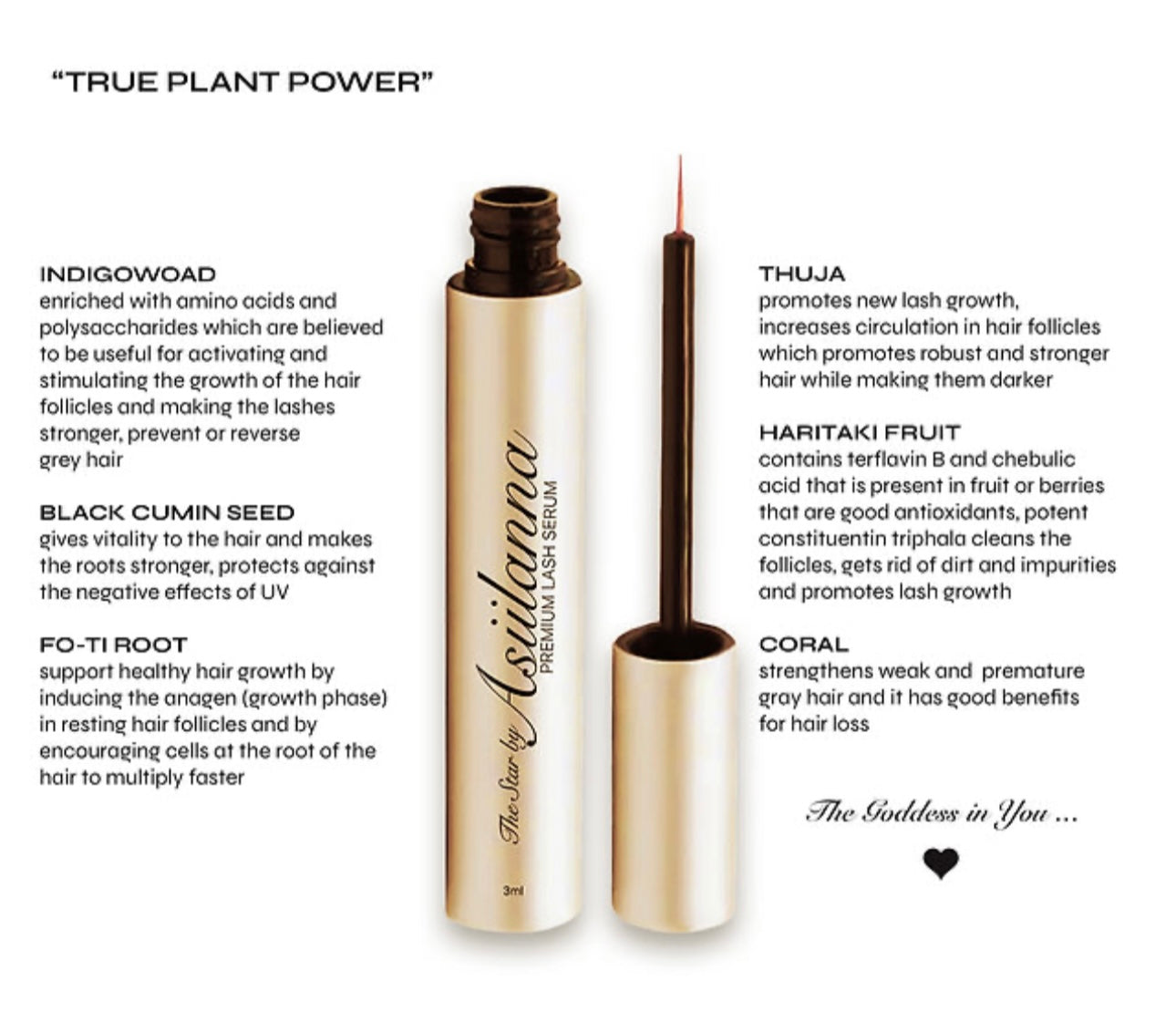 Asiilanna Premium Natural Lash Growth Serum